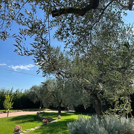 Casa Adriano-dimora Per Vacanze Holiday home *
